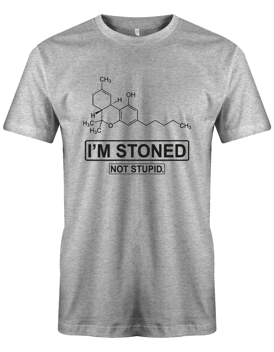 Je suis défoncé. Pas stupide. T-shirt cannabis - paroles drôles