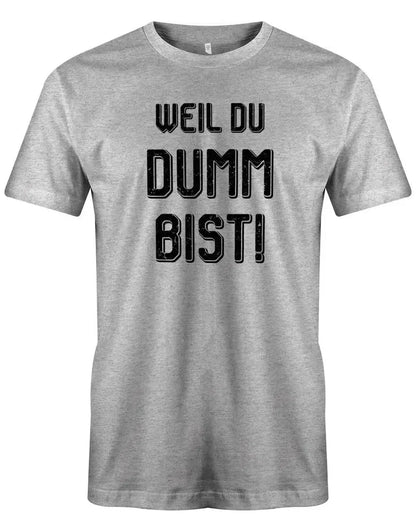 Weil Du dumm bist - wie oft ich das antworten möchte - Arbeit - Herren T-Shirt