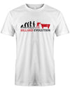 Billard Evolution - Heren T-Shirt - T-Shirt bedrucken mit lustigen Sprüchen bei - myShirtStore