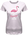 Das-ist-mein-Flamingo-Kost-m-Fasching-Karneval-Verkleidung-Shirt-Damen-Rosa