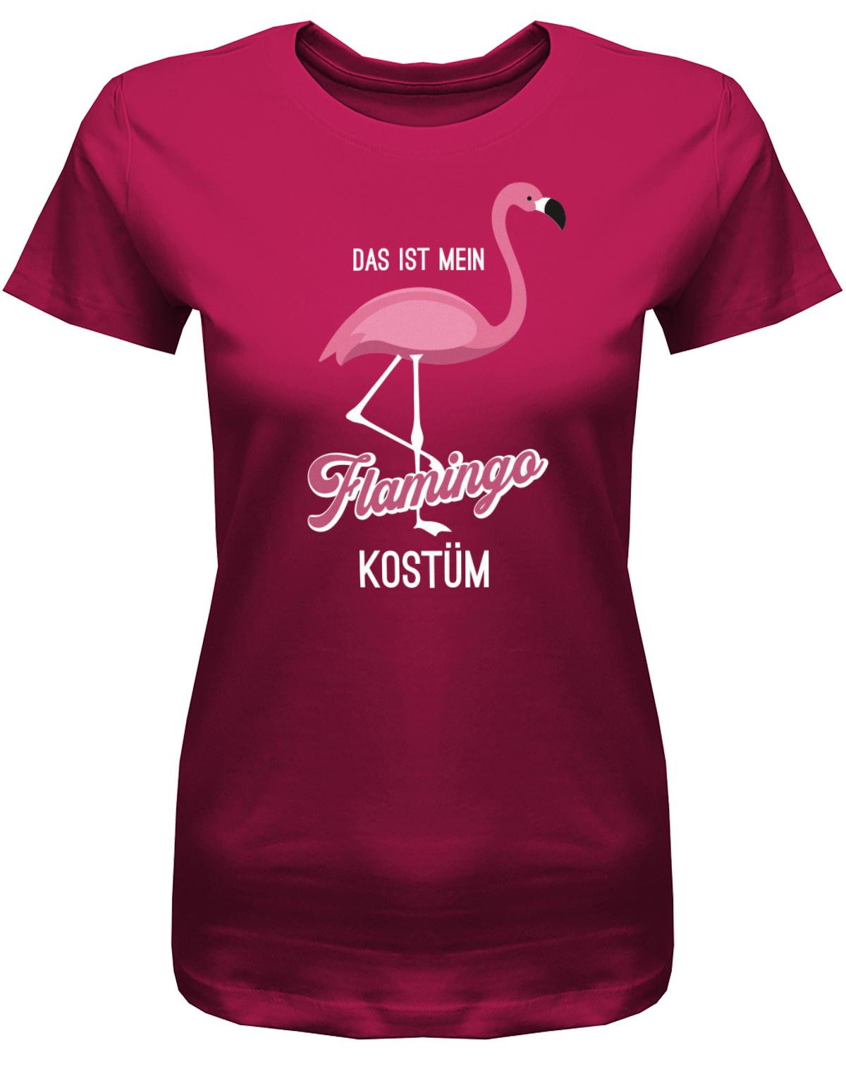 Das-ist-mein-Flamingo-Kost-m-Fasching-Karneval-Verkleidung-Shirt-Damen-Sorbet