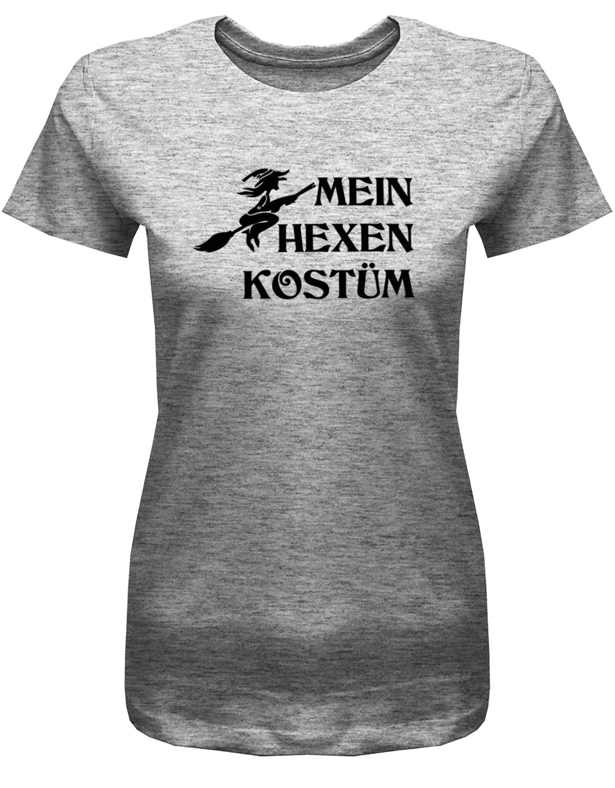 Mein-hexen-Kost-m-Damen-Shirt-Fasching-Karneval-Grau