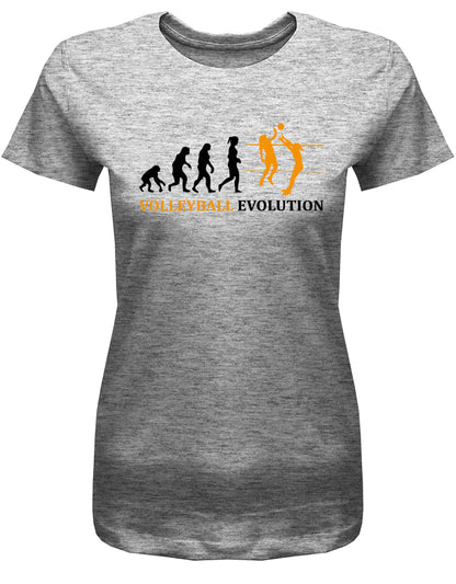 Volyball-Evolution-Damn-Shirt-Grau