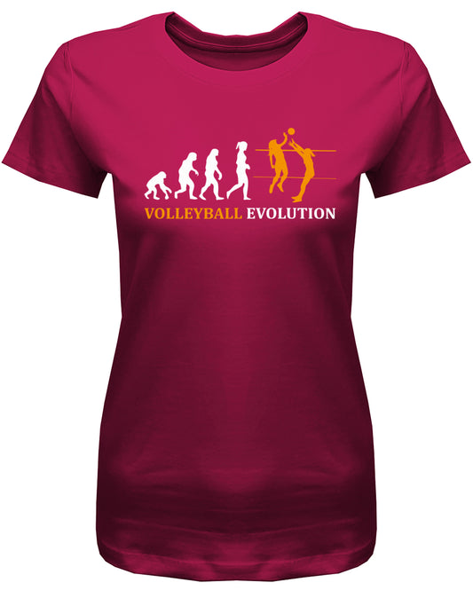 Volyball-Evolution-Damn-Shirt-Sorbet