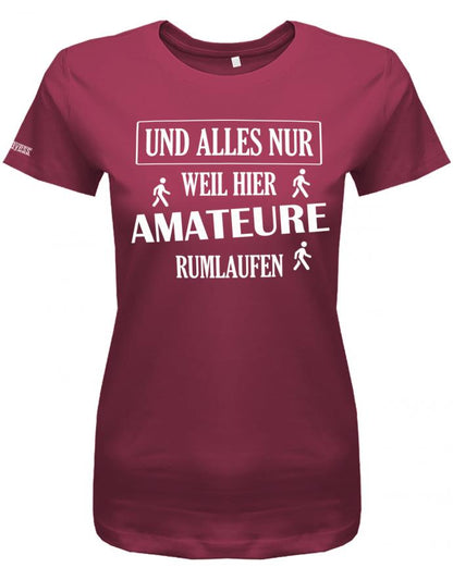 und-alles-weil-hier-amateure-rumlaufen-damen-shirt-sorbet